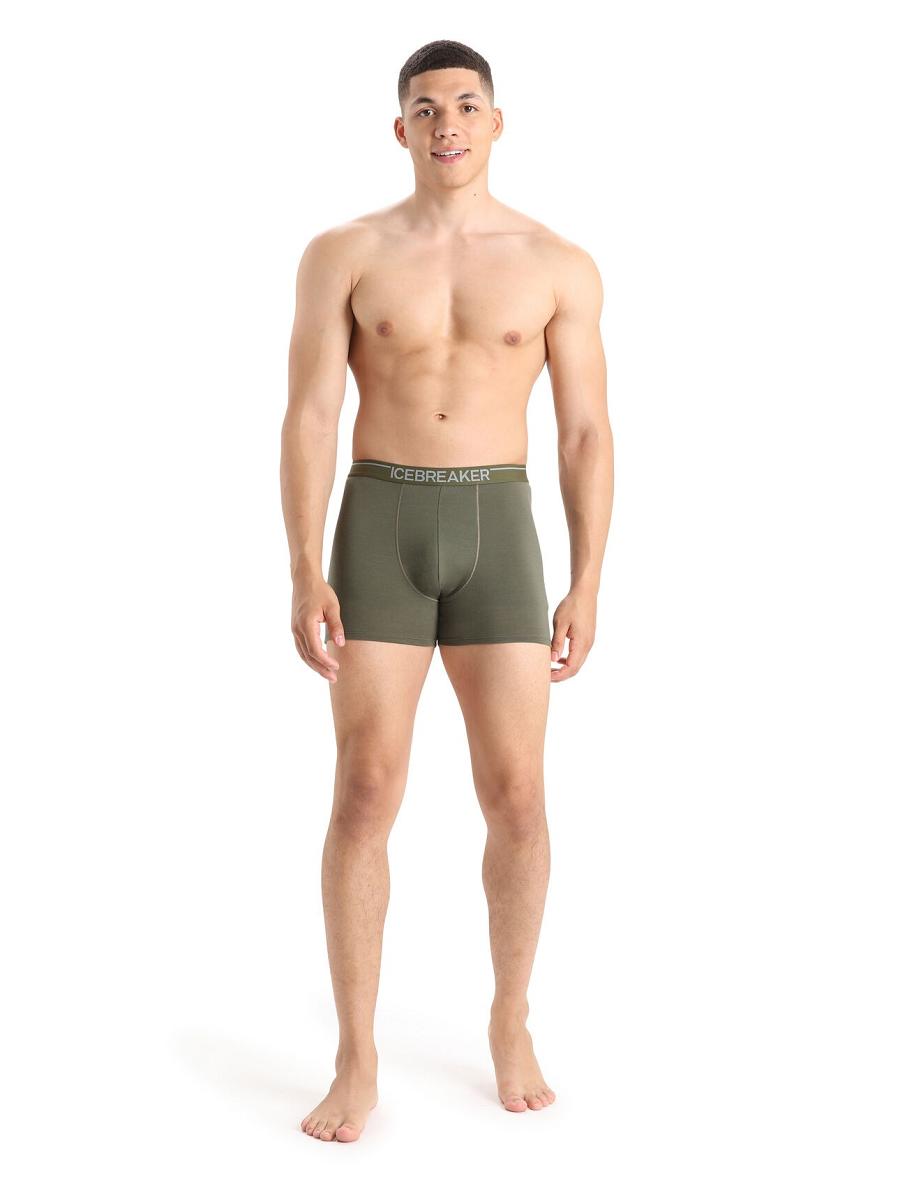 Loden Men's Icebreaker Merino Anatomica Boxers Underwear | USA 1313EBCX